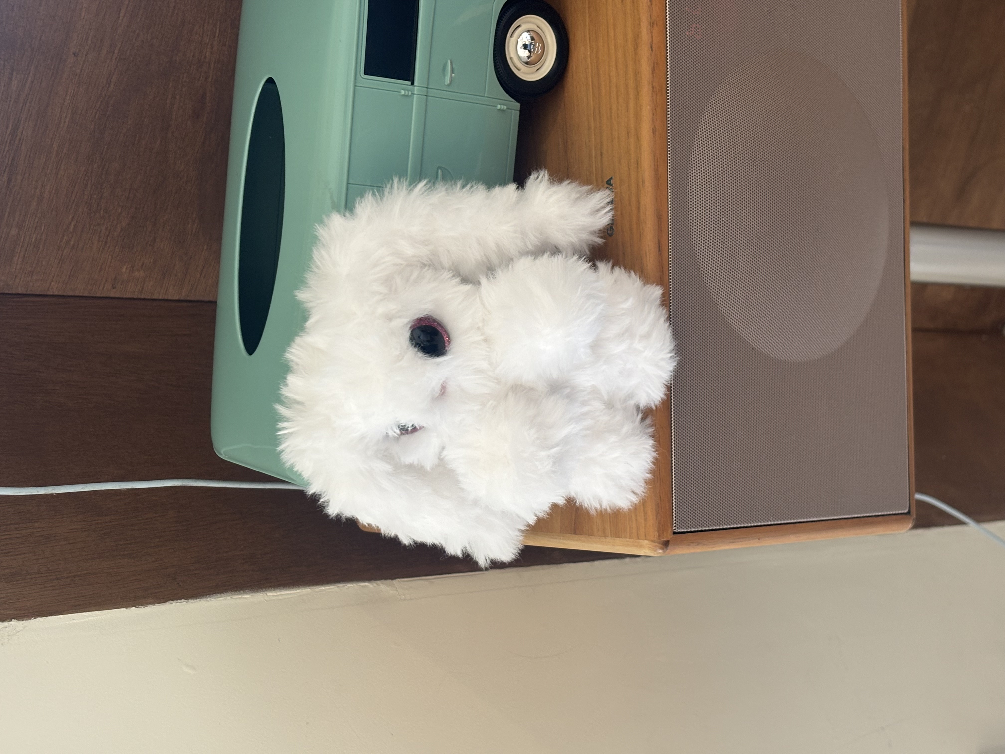 Lop Rabbit Cafe 4